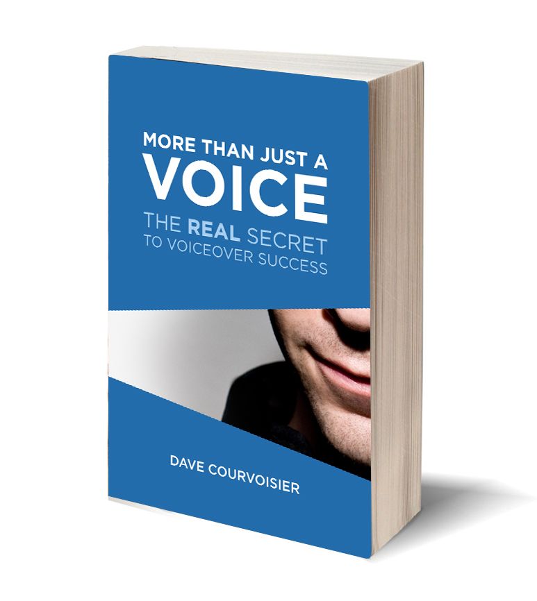 More than Just a Voice - 3d book cover image